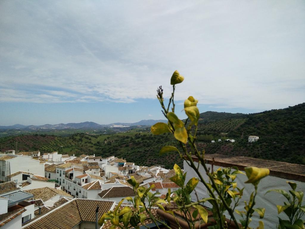 Los Cazadores Bed and Breakfast El Gastor Εξωτερικό φωτογραφία